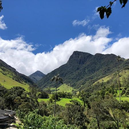 Cabanas Valle Del Cocora La Truchera Salento Exteriör bild