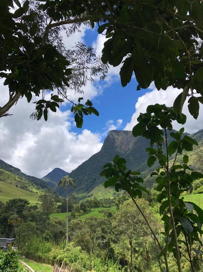 Cabanas Valle Del Cocora La Truchera Salento Exteriör bild