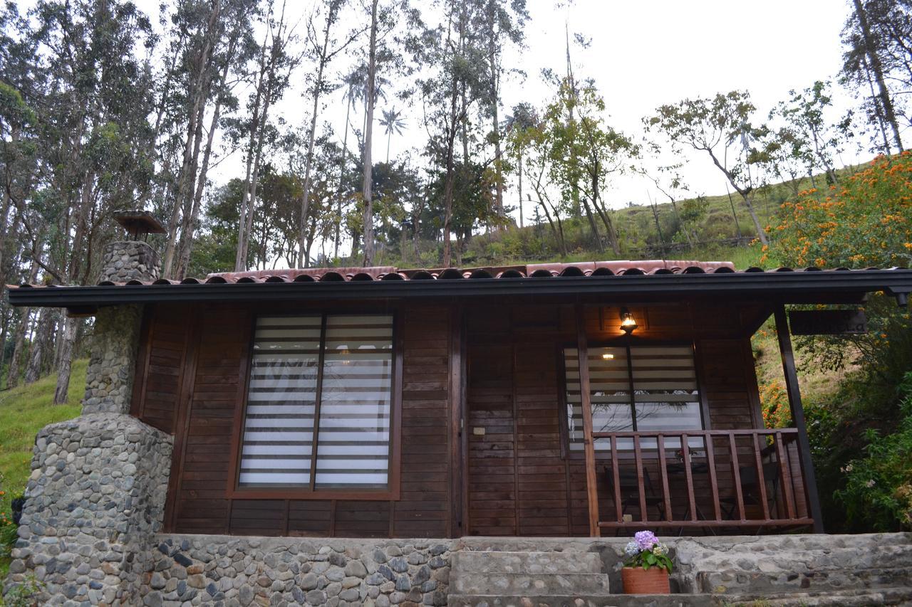 Cabanas Valle Del Cocora La Truchera Salento Exteriör bild