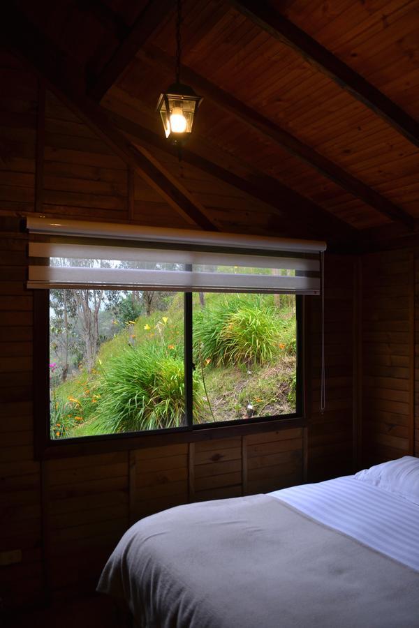 Cabanas Valle Del Cocora La Truchera Salento Exteriör bild