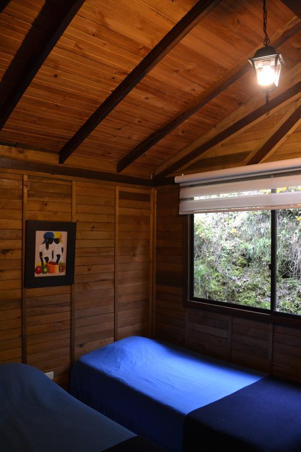 Cabanas Valle Del Cocora La Truchera Salento Exteriör bild