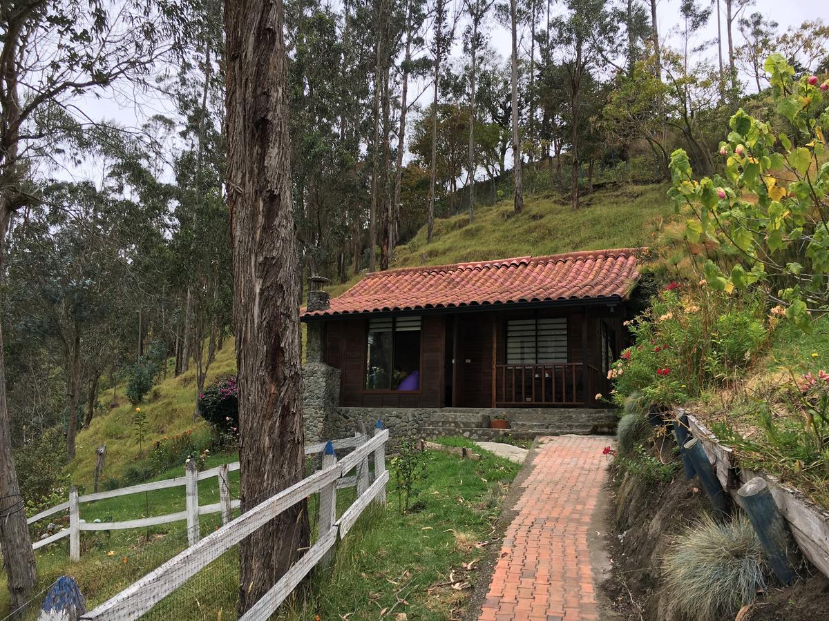 Cabanas Valle Del Cocora La Truchera Salento Exteriör bild