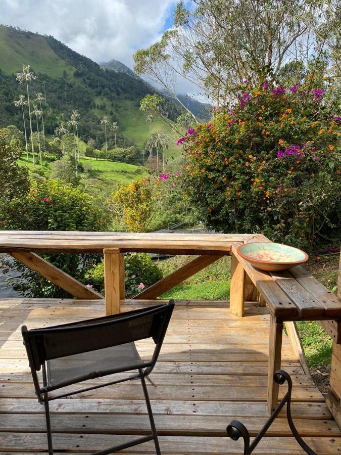 Cabanas Valle Del Cocora La Truchera Salento Exteriör bild