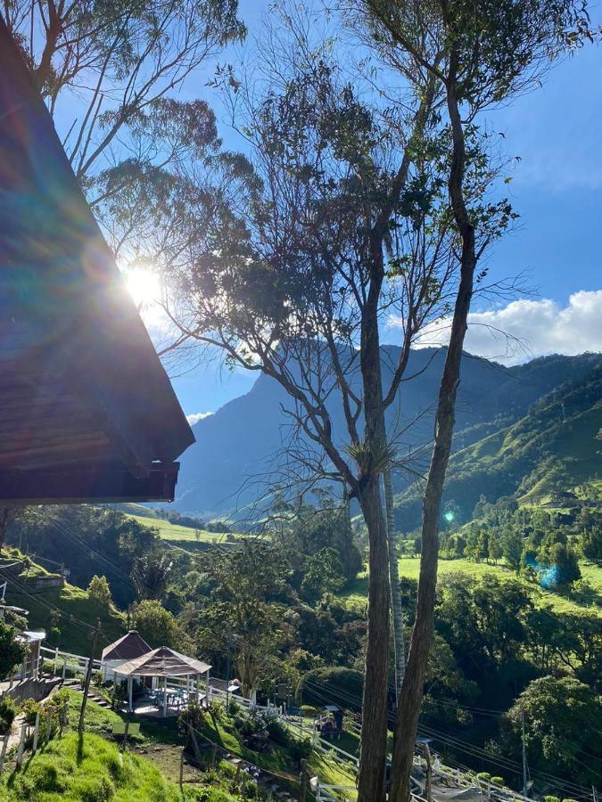 Cabanas Valle Del Cocora La Truchera Salento Exteriör bild