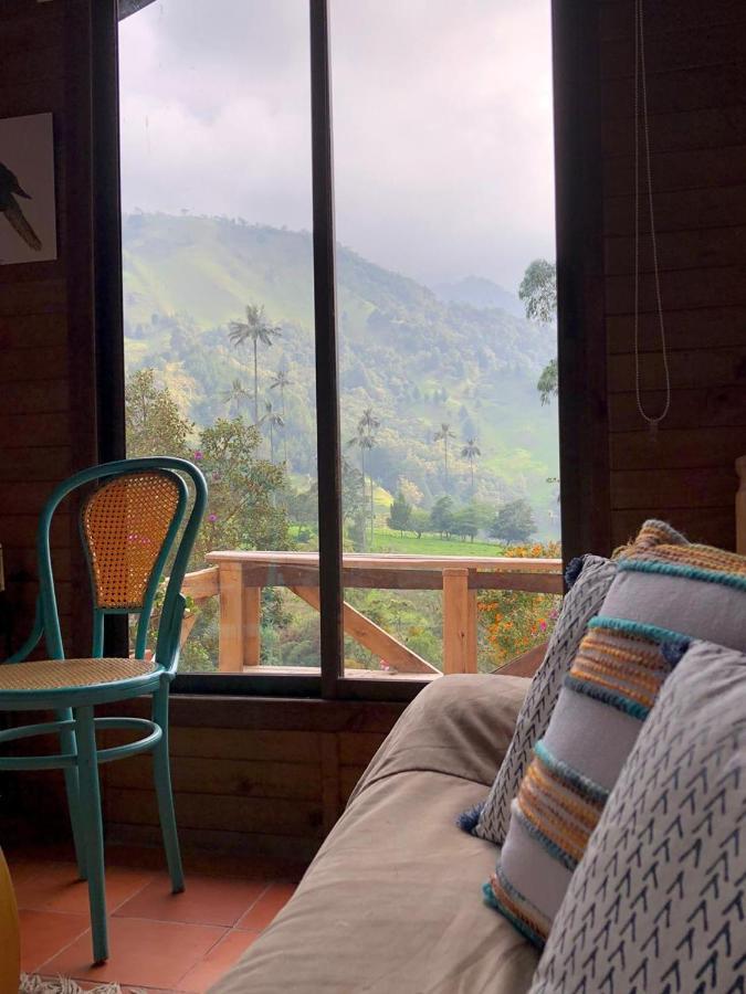 Cabanas Valle Del Cocora La Truchera Salento Exteriör bild