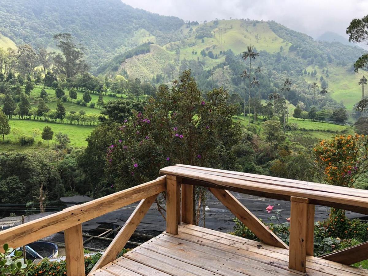 Cabanas Valle Del Cocora La Truchera Salento Exteriör bild
