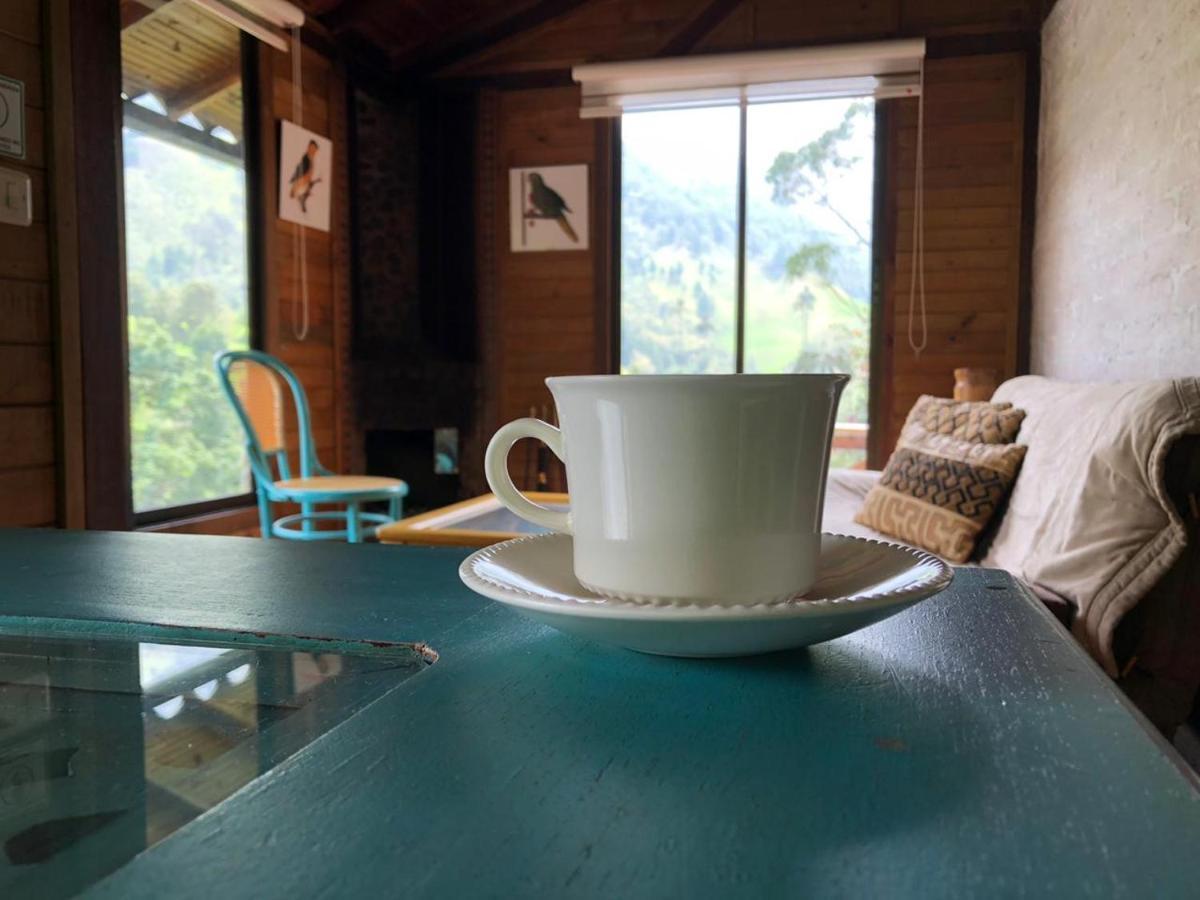Cabanas Valle Del Cocora La Truchera Salento Exteriör bild